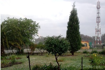 hael